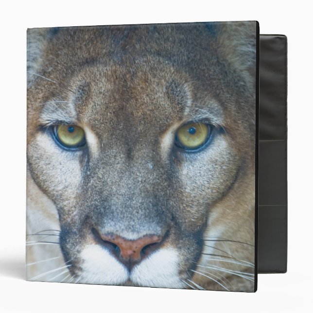 Cougar, mountain lion, Florida panther, Puma Binder (Front/Inside)