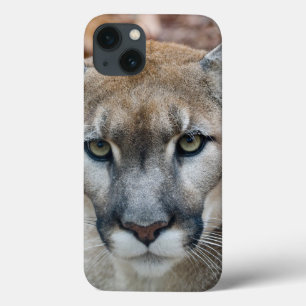 Cougar, mountain lion, Florida panther, Puma iPhone 13 Case