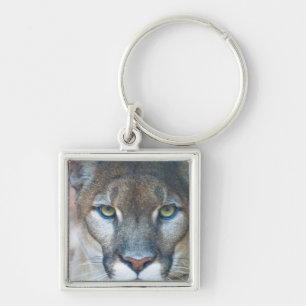 Cougar, mountain lion, Florida panther, Puma Keychain