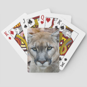 Cougar, mountain lion, Florida panther, Puma Playing Cards
