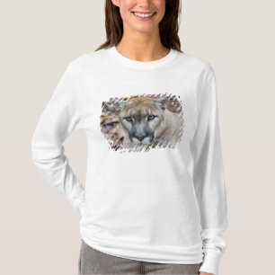 Cougar, mountain lion, Florida panther, Puma T-Shirt