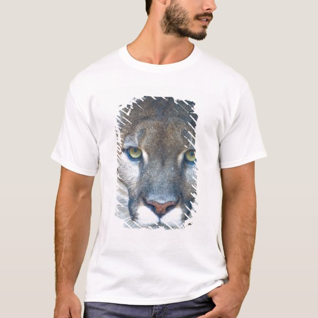 Cougar, mountain lion, Florida panther, Puma T-Shirt (Front)