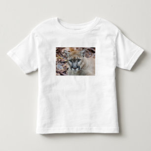 Cougar, mountain lion, Florida panther, Puma Toddler T-shirt