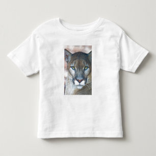 Cougar, mountain lion, Florida panther, Puma Toddler T-shirt