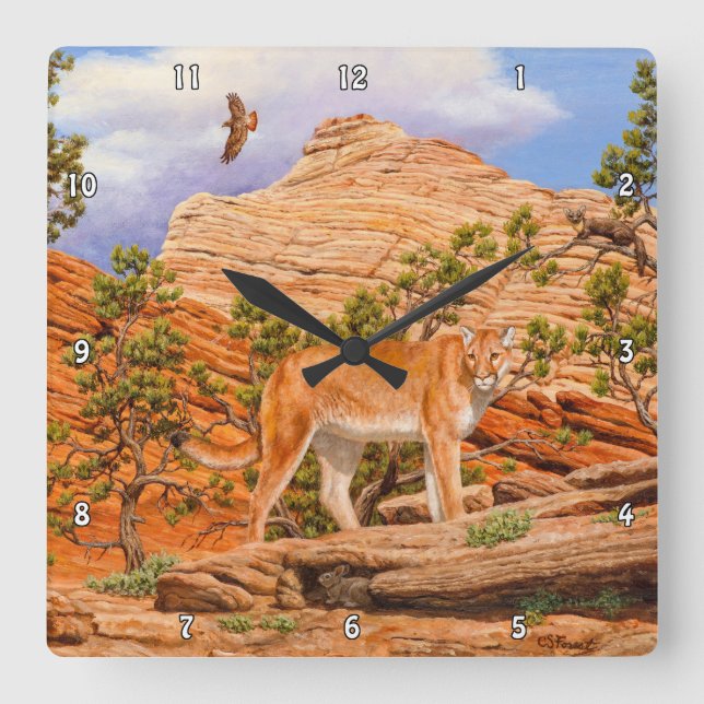 Cougar Mountain Lion In Zion National Park Square Wall Clock (Front)