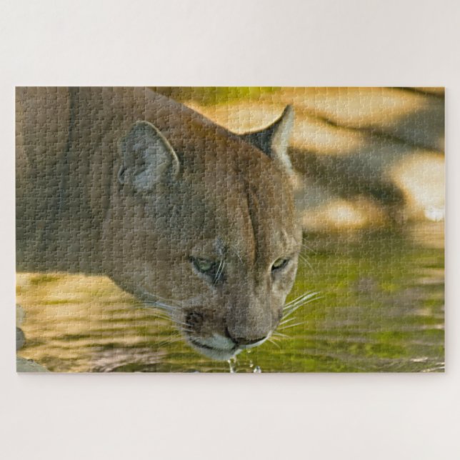 Cougar Mountain Lion. Jigsaw Puzzle (Horizontal)
