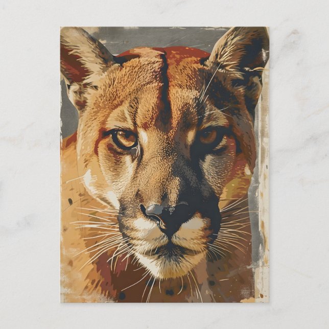 Cougar Mountain lion vintage Postcard (Front)