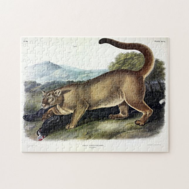 Cougar, or Puma, Panther, Mountain Lion, Catamount Jigsaw Puzzle (Horizontal)