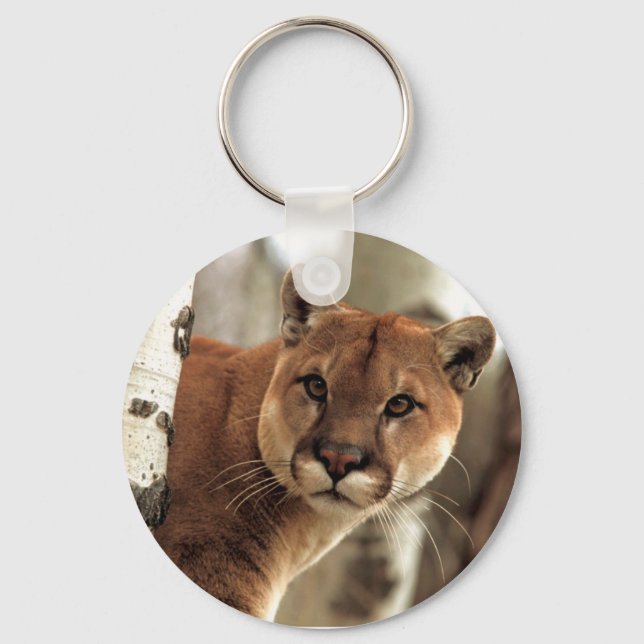 Cougar Photograph Keychain (Front)