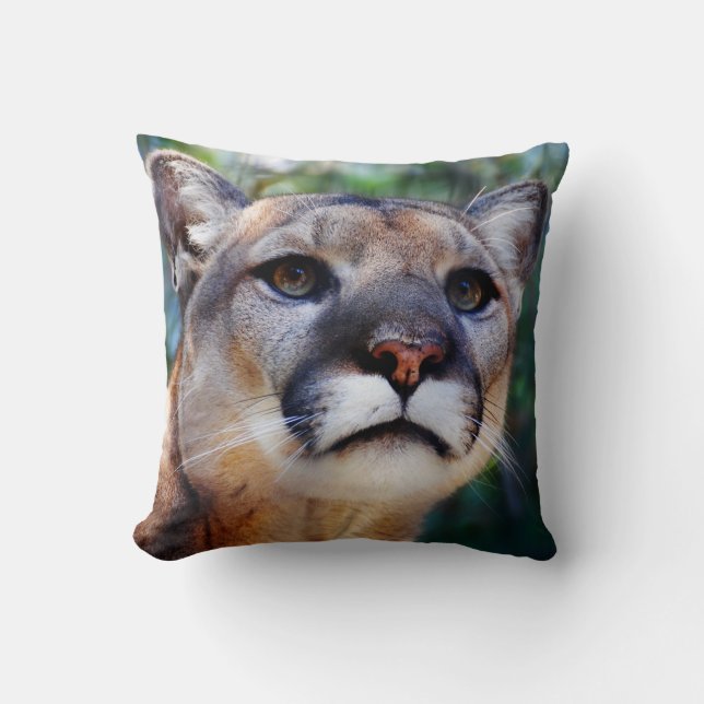 Cougar Pillow (Front)