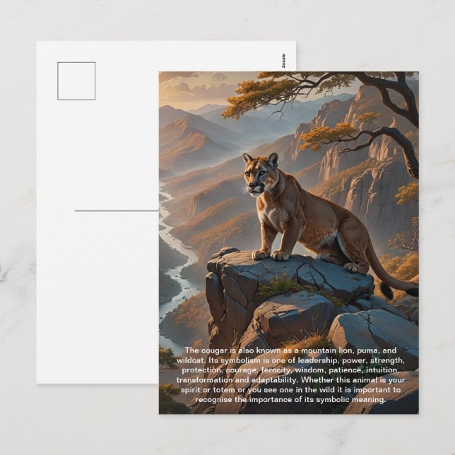 Cougar Postcard (Front/Back)