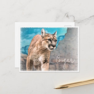 Cougar Postcard