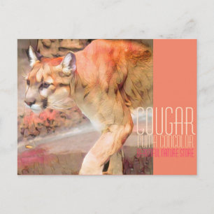Cougar [Postcard] Postcard