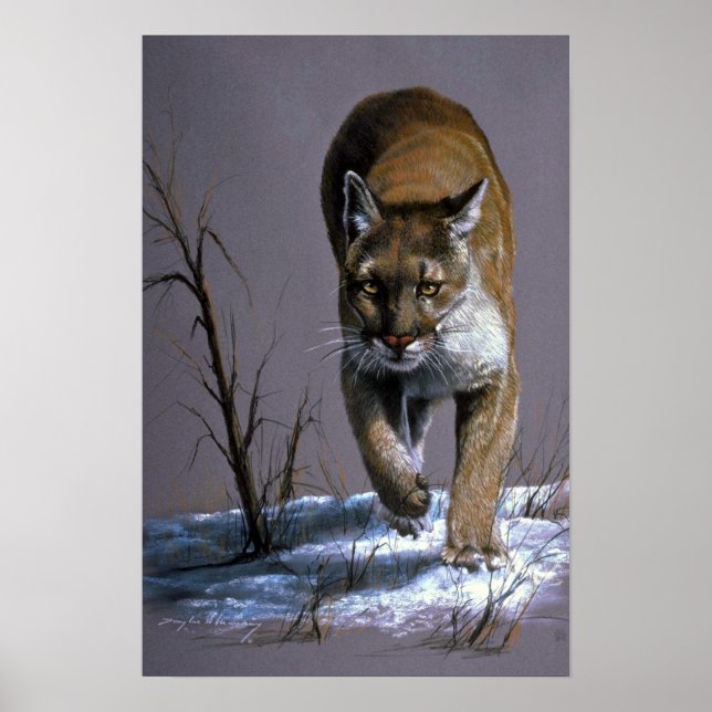 Cougar Poster (Front)