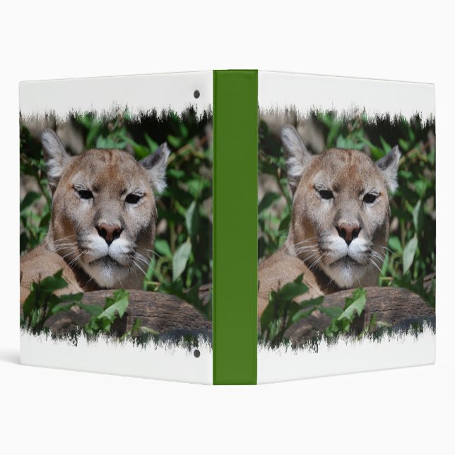 Cougar Predator Binder (Background)