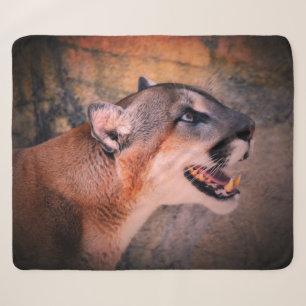 Cougar Profile  Sherpa Blanket