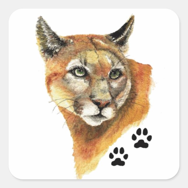 Cougar, Puma, Mountain Lion Animal Tracks Square Sticker (Front)