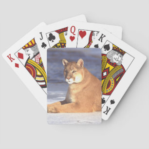 Cougar Resting Playing Cards