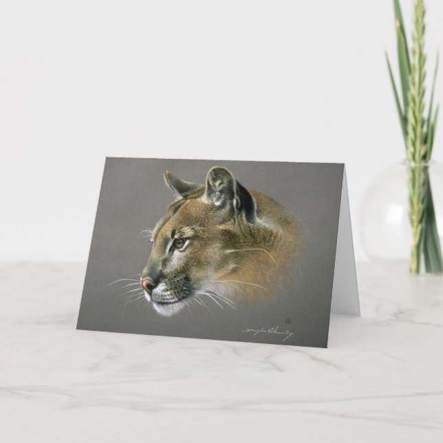 Cougar study card (Front)