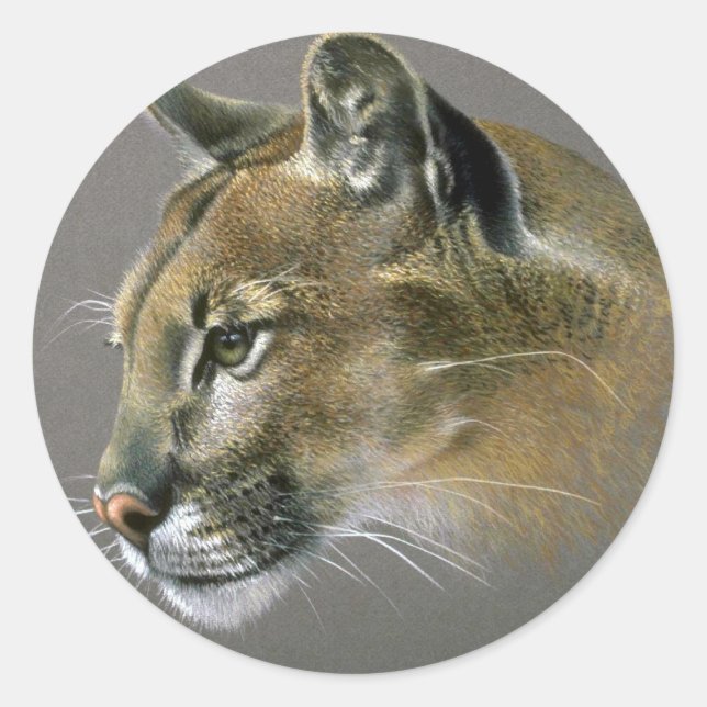 Cougar study classic round sticker (Front)