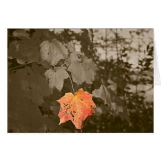 Couleur d'automne