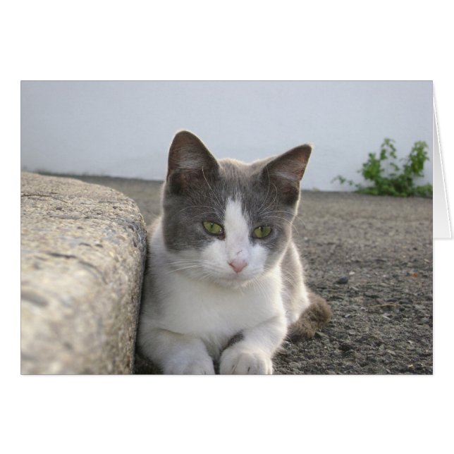 "Couleur de bourgeon" (Devant horizontal)