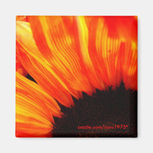 couleur de feu magnet