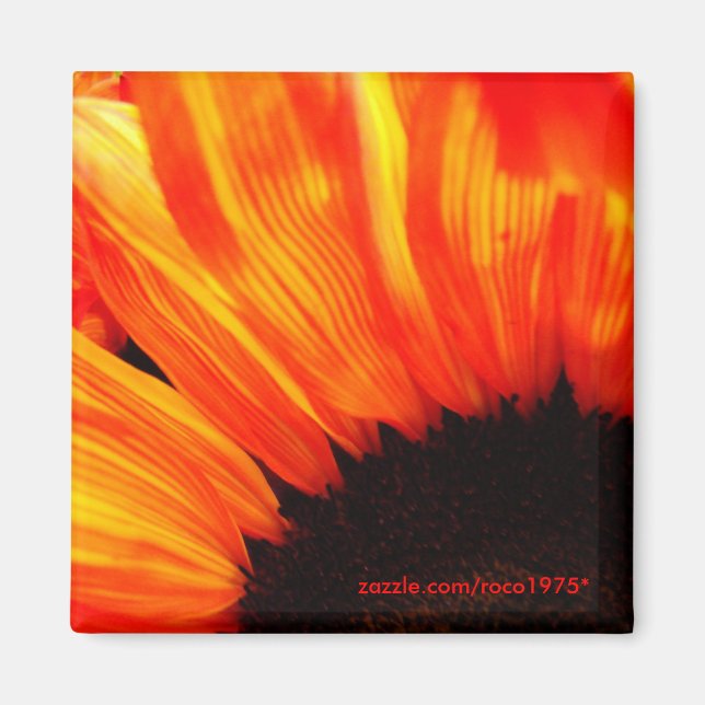 couleur de feu magnet (Front)