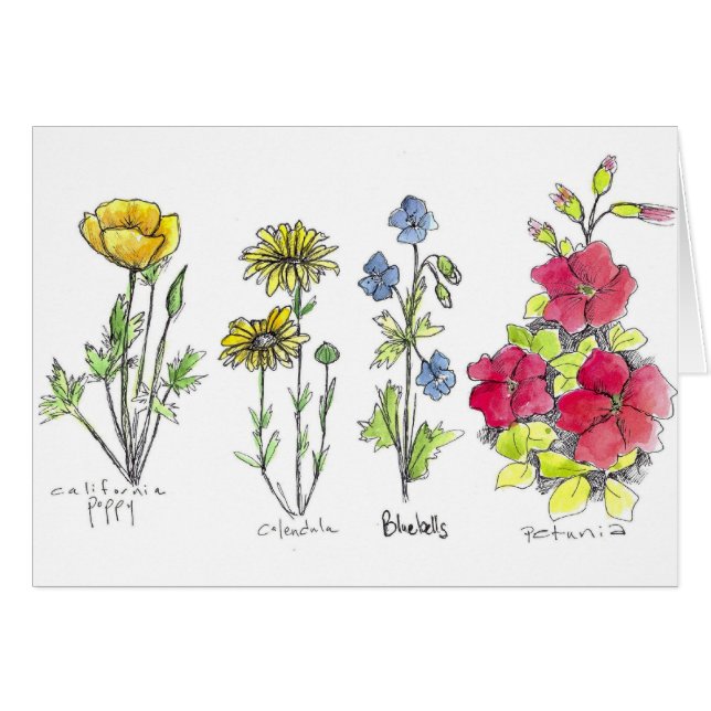 Couleur d'encre botanique Fleur sauvage de pavot (Devant Horizontal)