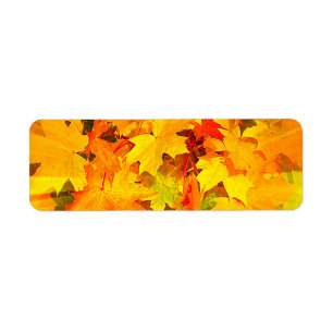 Couleur des feuilles automnales Couleurs automnale