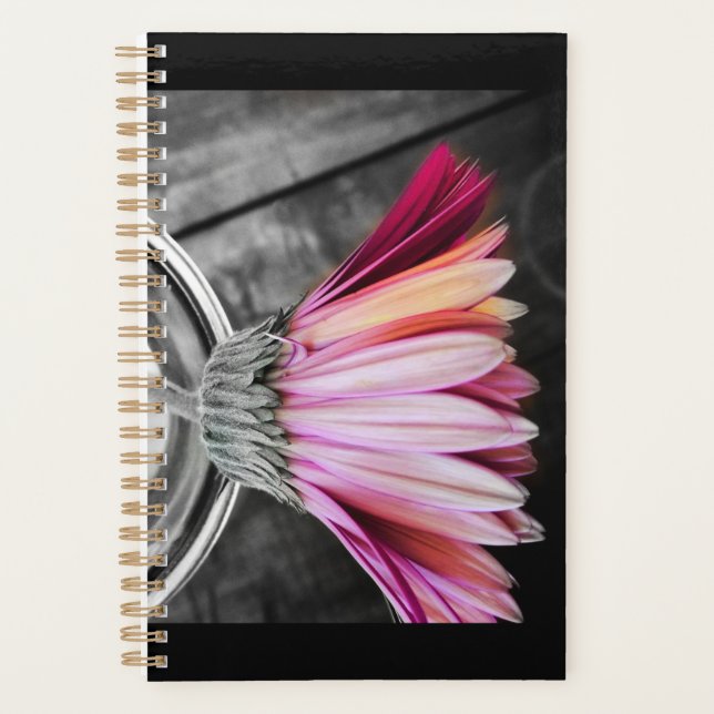 Couleur du planificateur d'année (Devant)