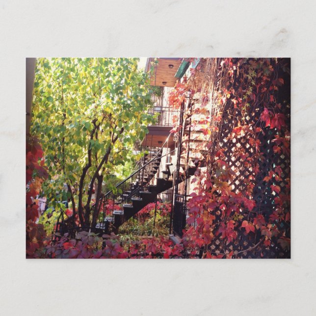 couleur postcard (Front)