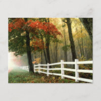 Couleurs Automne Bible Verse Carte d'encouragement