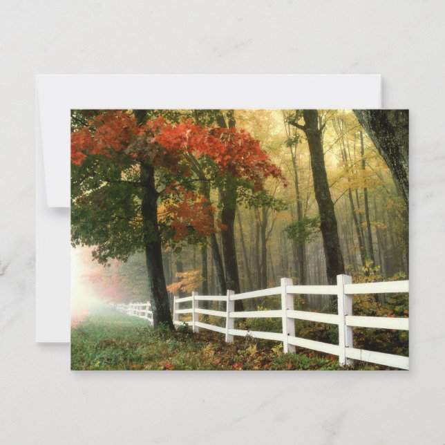 Couleurs Automne Bible Verse Carte d'encouragement (Devant)