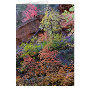 Couleurs automne partout