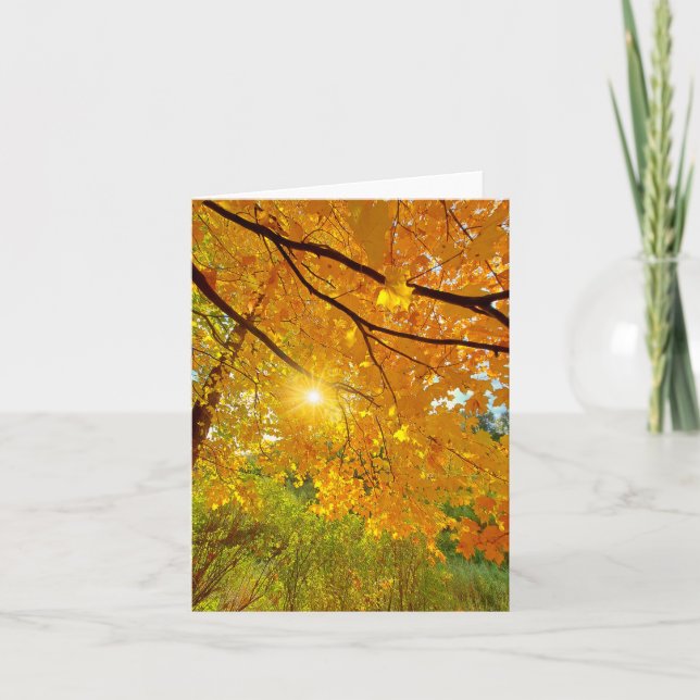 Couleurs d'automne blanc carte pour notes (Devant)
