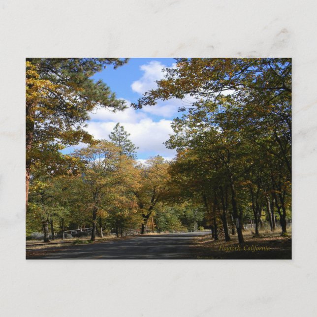 Couleurs d'automne... Carte postale (Devant)