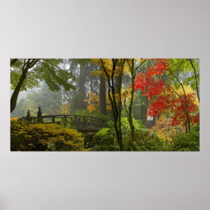 Couleurs d'automne d'arbres d'érable en affiche