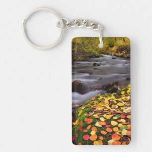 Couleurs d'automne le long de McGee Creek