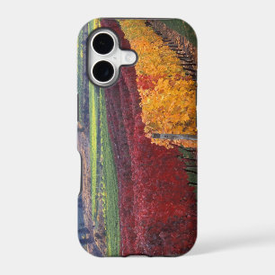 Couleurs d'automne rouges et jaunes intenses sur G