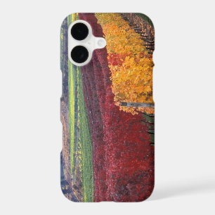 Couleurs d'automne rouges et jaunes intenses sur G