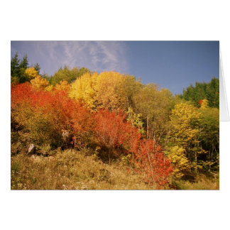 Couleurs de chute au capot de Mt.