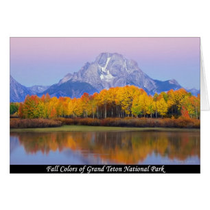 Couleurs de chute de parc national grand de Teton