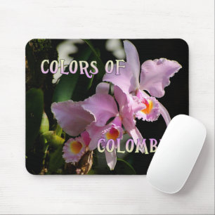 Couleurs de tapis de souris d'orchidée de la