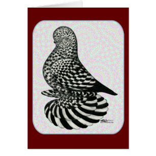 Couleurs de tondeuse