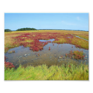 Couleurs Du Marais Photo Print