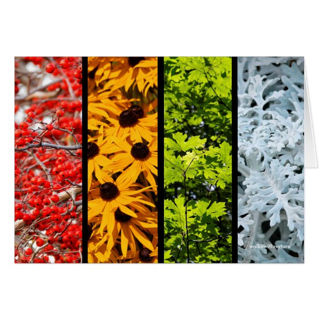 Couleurs du Quadriptych des saisons changeantes (Devant horizontal)