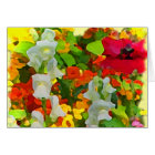 Couleurs gaies de jardin