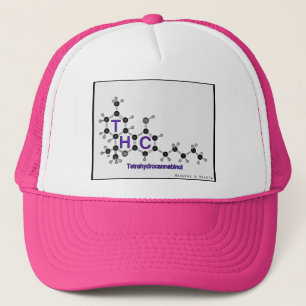 Couleurs multi de casquette de camionneur de