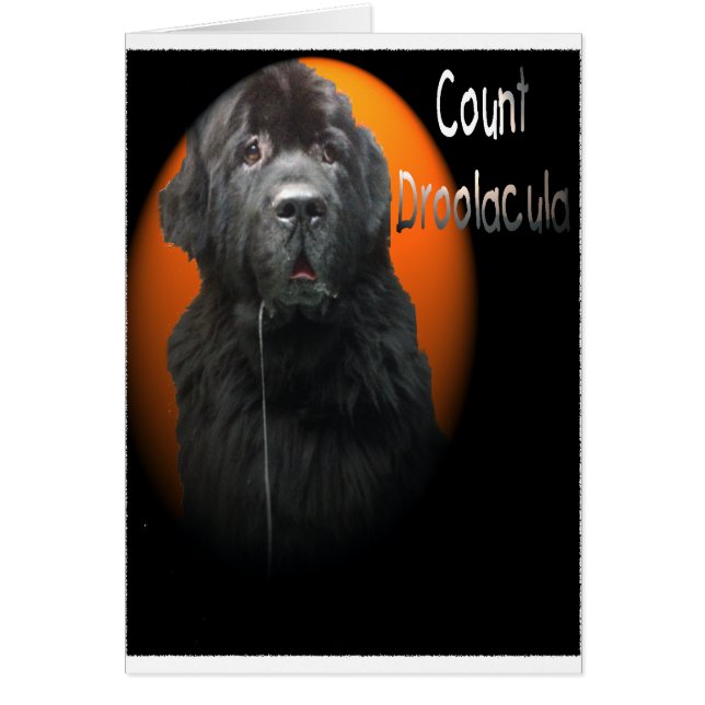 Count Droolacula The Newfoundland (Front)